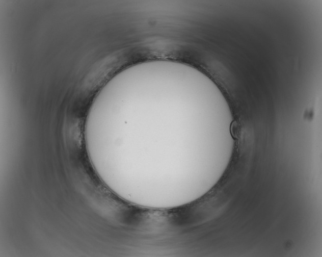 X0000116350121200912221510