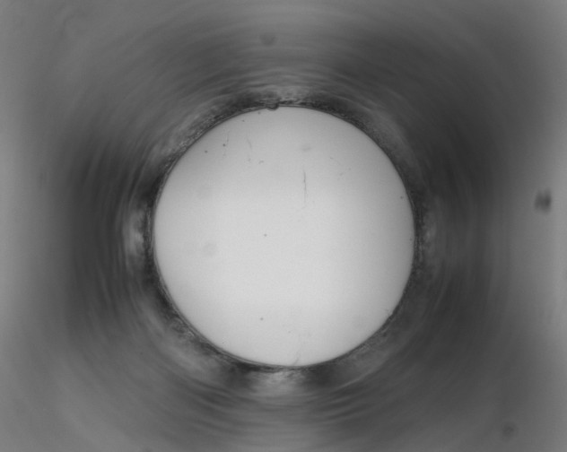 X0000116350122200912221510