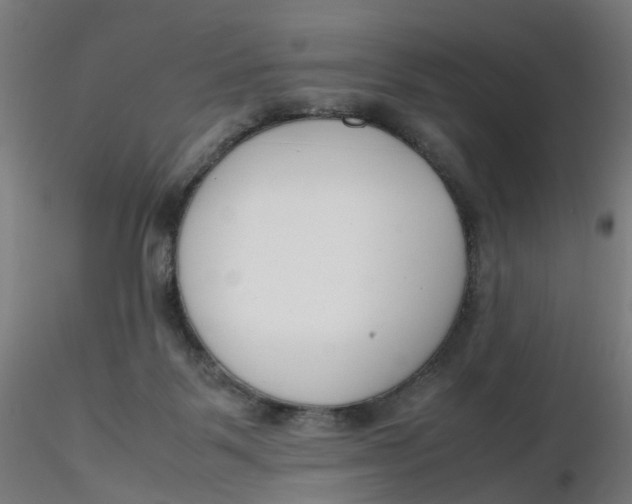 X0000116350123200912221510