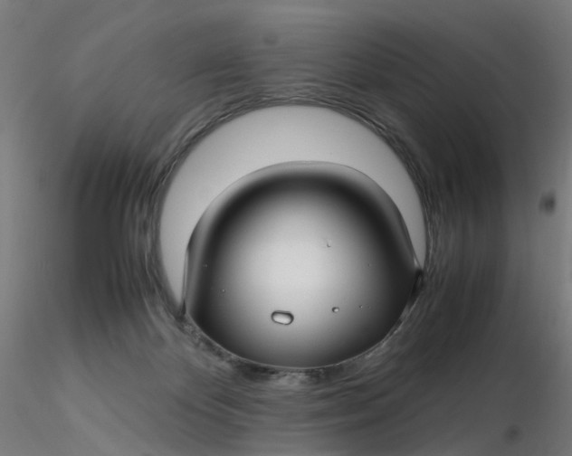 X0000116350124200912221510