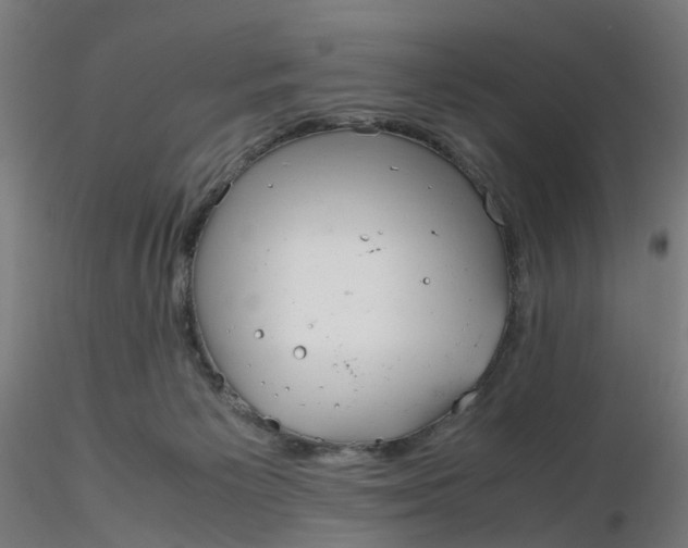 X0000116350125200912221510