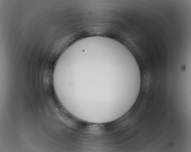 X0000116350126200912221510