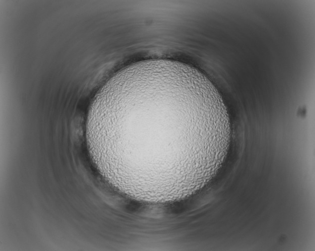 X0000116350127200912221510