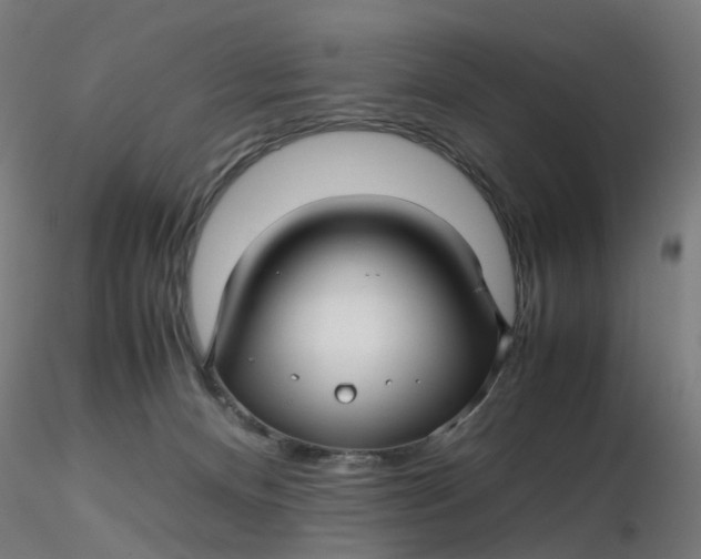 X0000116350128200912221510
