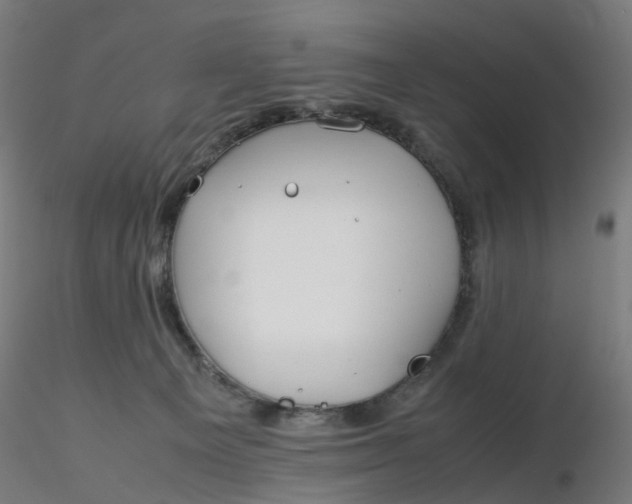 X0000116350129200912221510