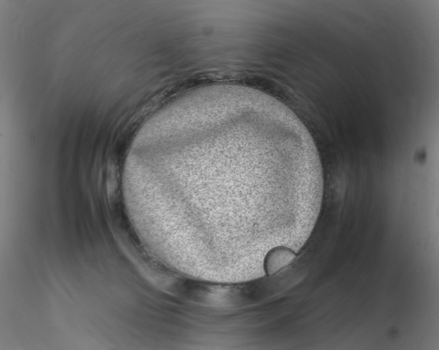 X0000116350130200912221510