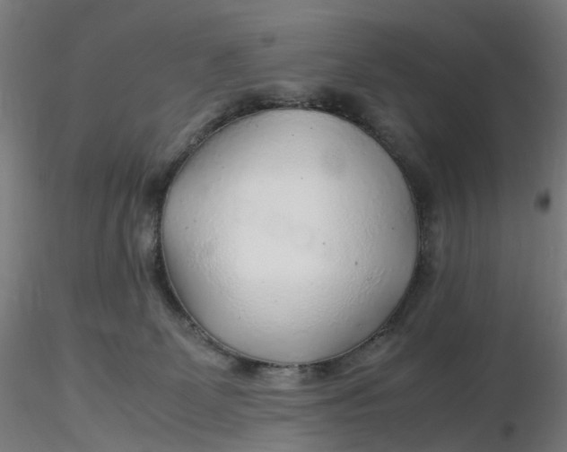 X0000116350131200912221510