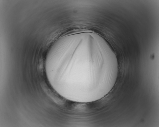 X0000116350132200912221510