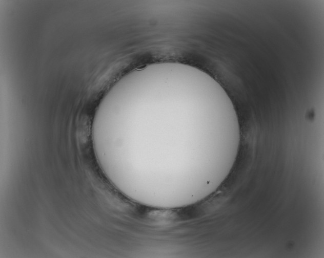 X0000116350133200912221510
