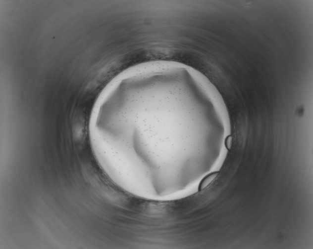 X0000116350134200912221510
