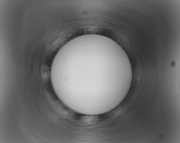 X0000116350135200912221510