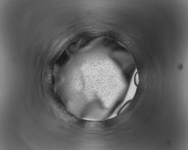 X0000116350137200912221510