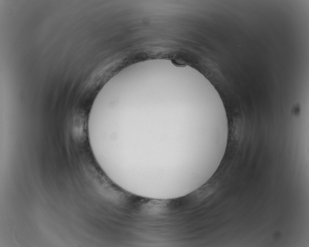 X0000116350138200912221510