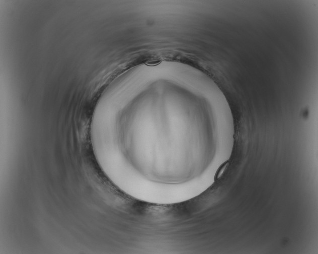 X0000116350139200912221510