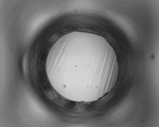 X0000116350140200912221510