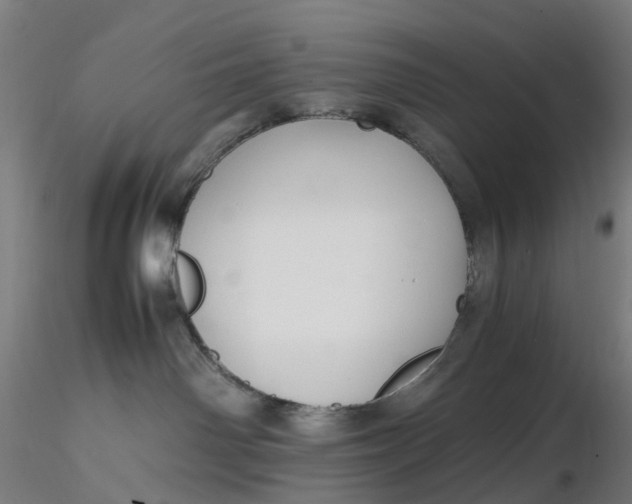 X0000116350142200912221510