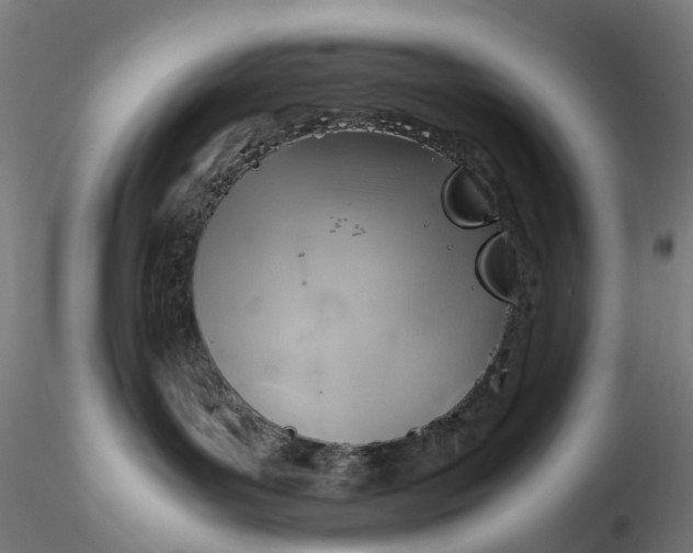 X0000116350143200912221510