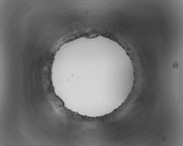 X0000116350144200912221510