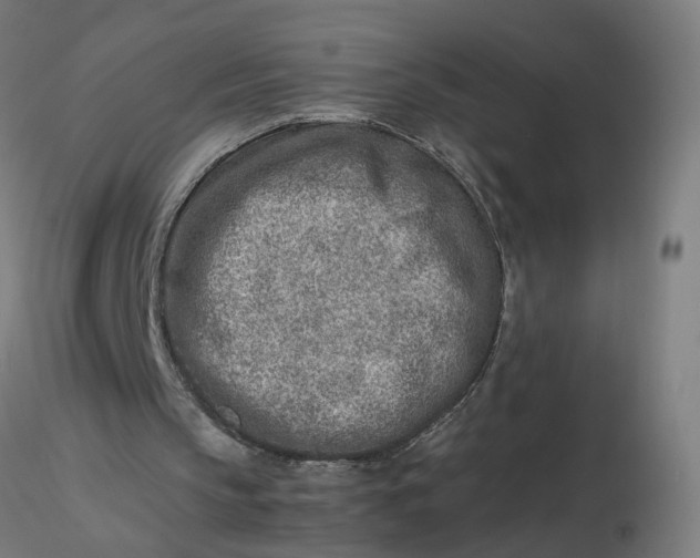 X0000116350145200912221509