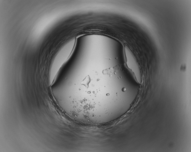 X0000116350146200912221509