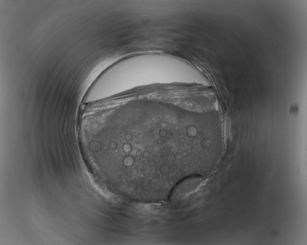 X0000116350147200912221509