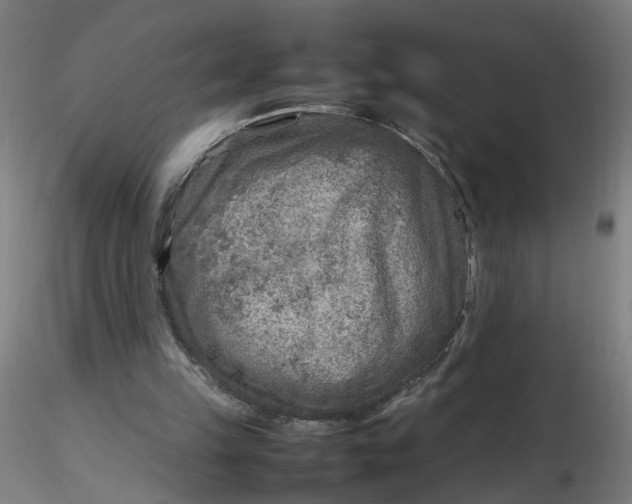 X0000116350149200912221509
