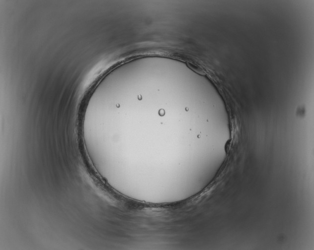 X0000116350150200912221509