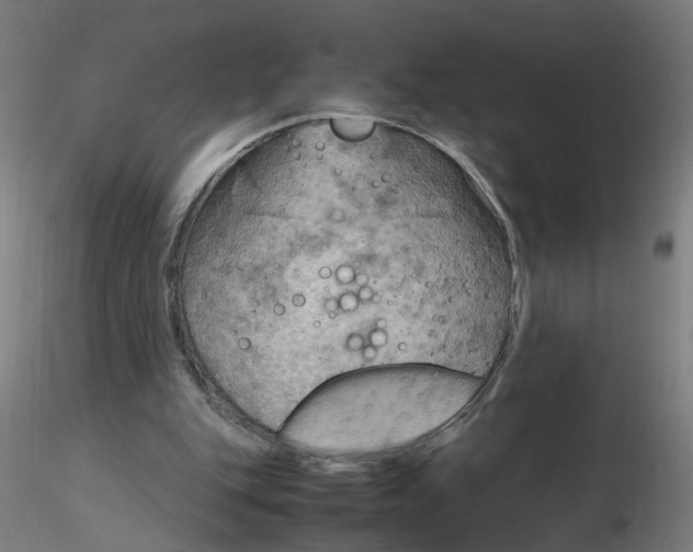 X0000116350151200912221509