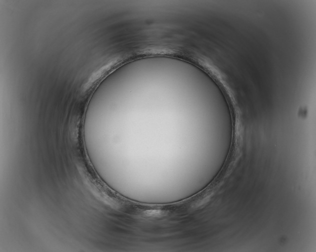 X0000116350153200912221509