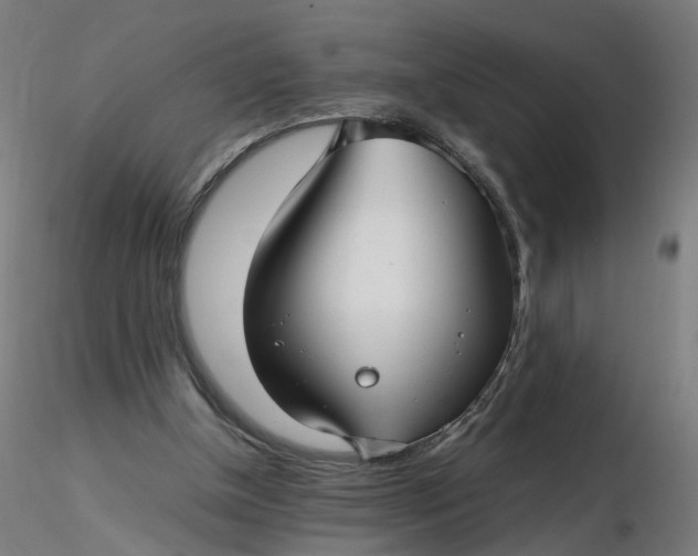 X0000116350154200912221509
