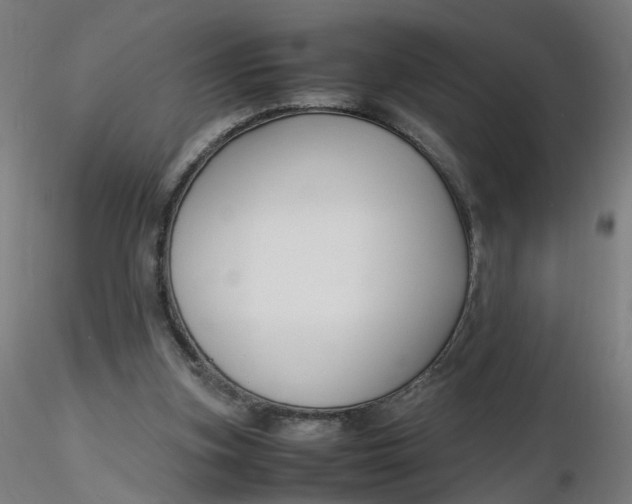 X0000116350155200912221509