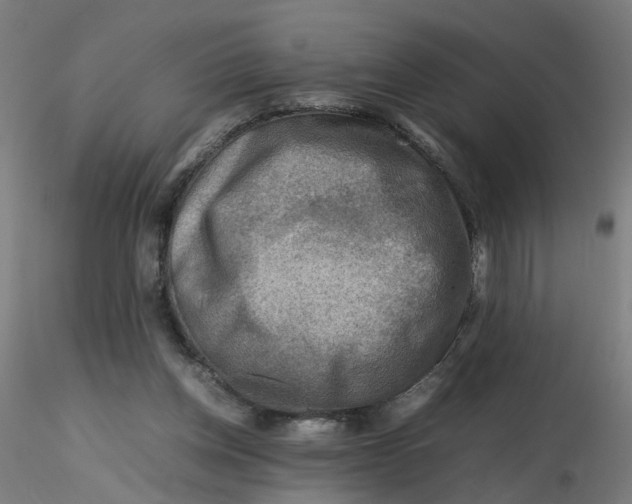 X0000116350158200912221509