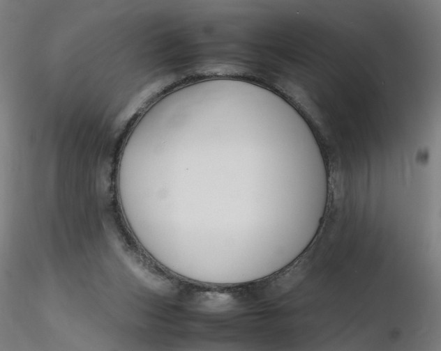X0000116350159200912221509