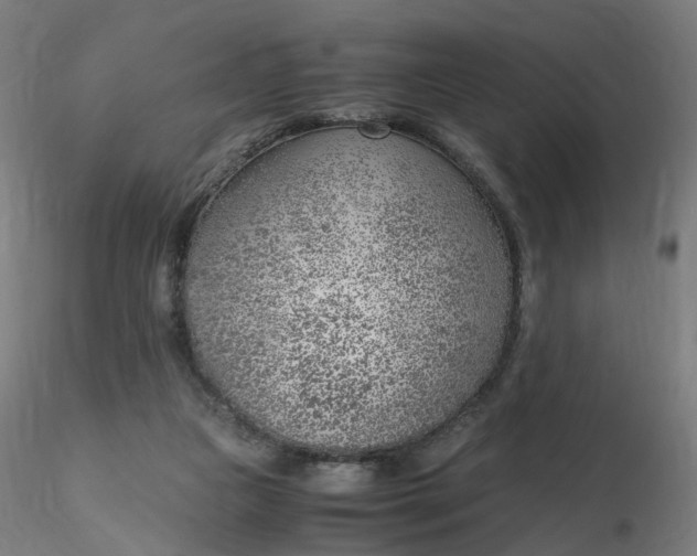 X0000116350161200912221509