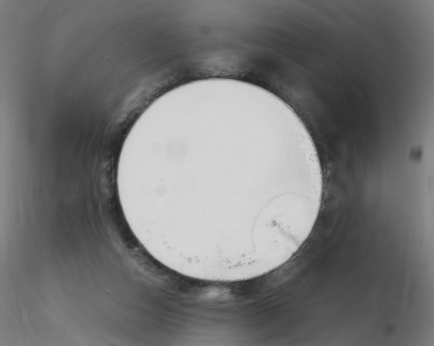 X0000116350162200912221509