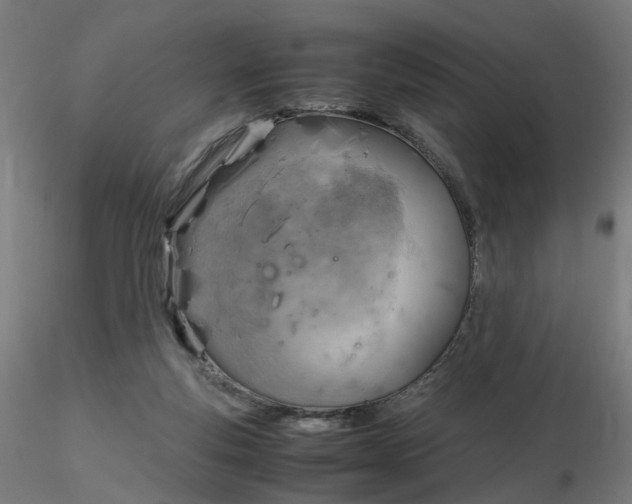 X0000116350163200912221509