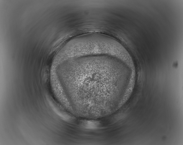 X0000116350165200912221509