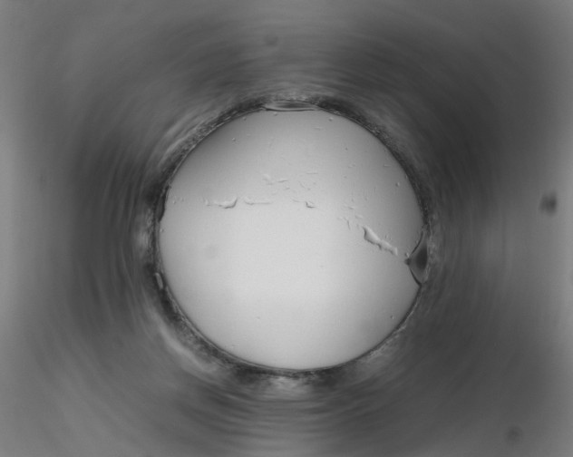 X0000116350166200912221509