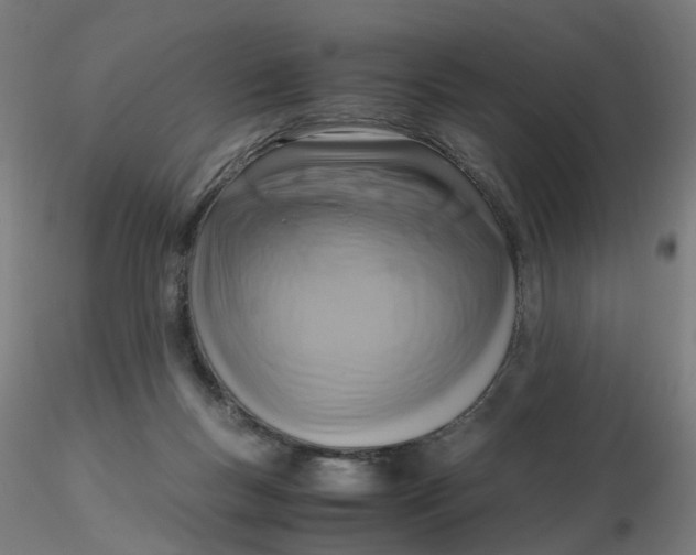 X0000116350167200912221509
