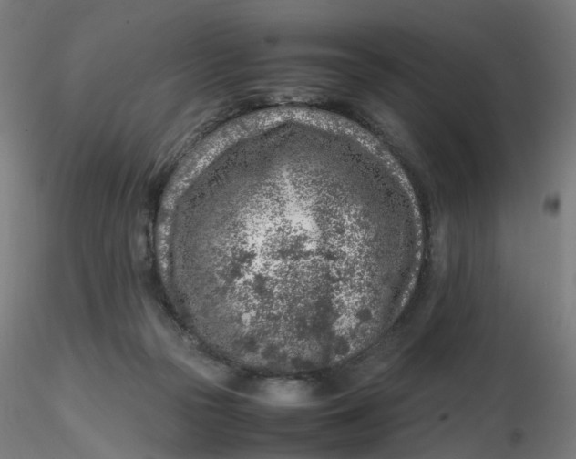 X0000116350169200912221509