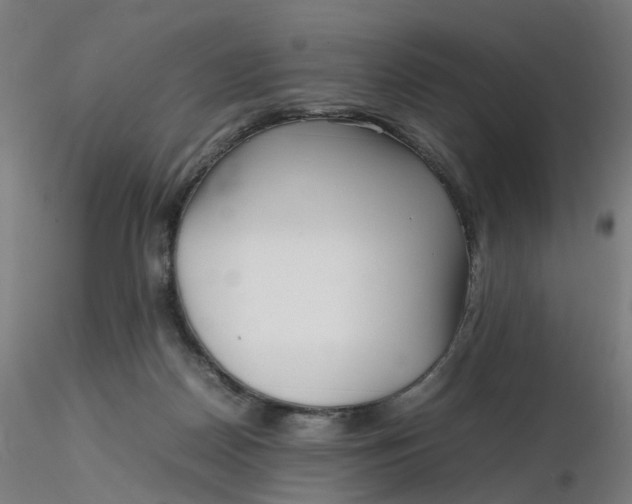 X0000116350170200912221509