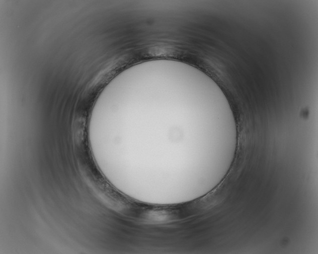 X0000116350171200912221509