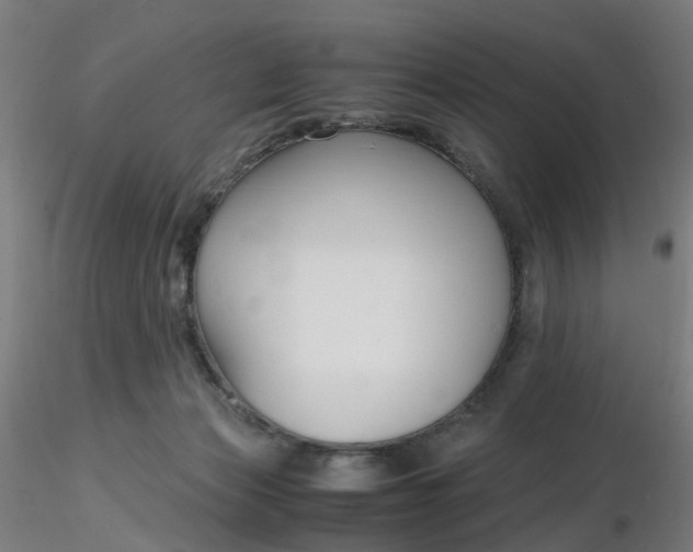 X0000116350173200912221509