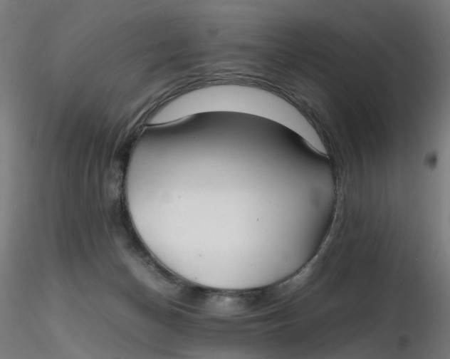 X0000116350174200912221509