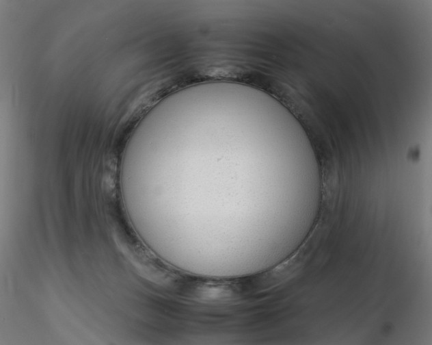 X0000116350175200912221509