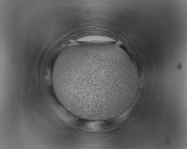 X0000116350178200912221509