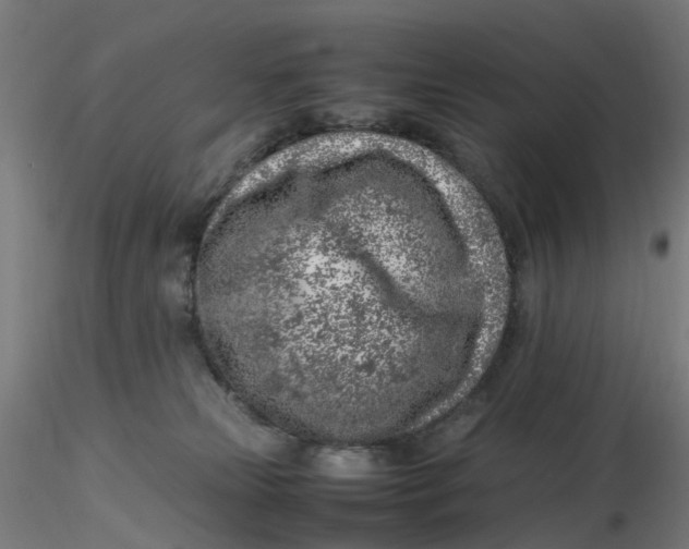 X0000116350181200912221509