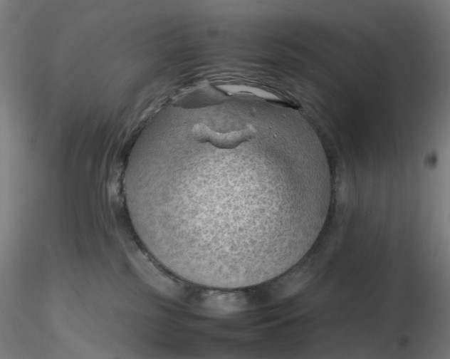 X0000116350185200912221509