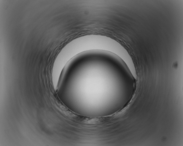 X0000116350186200912221509