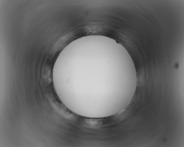 X0000116350187200912221509